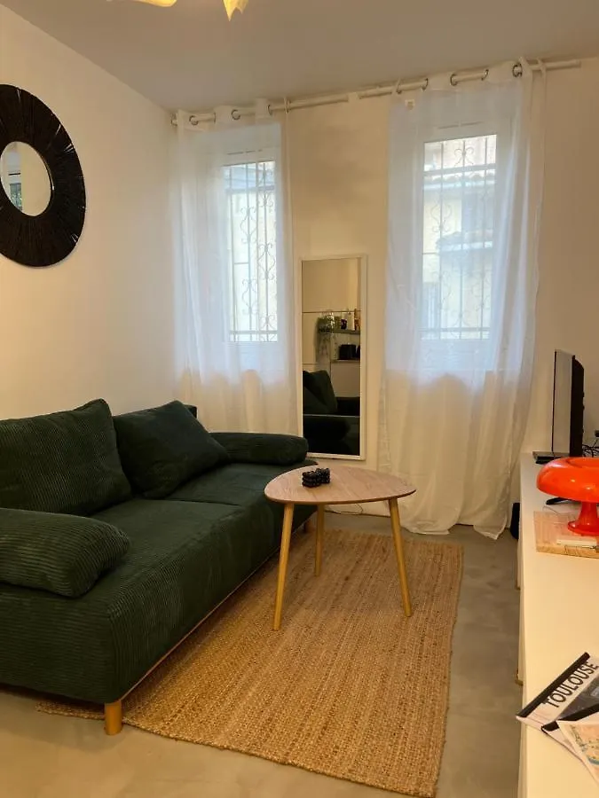 Logement De Charme 툴루즈 아파트